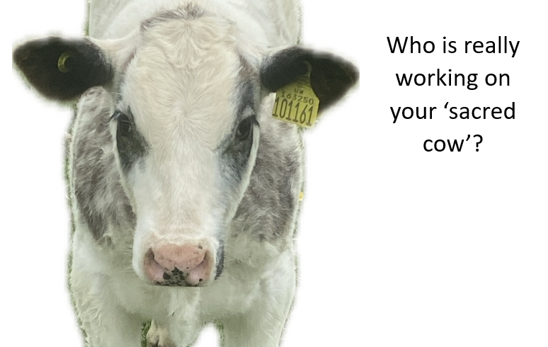 Who is really doing your work and are they safeguarding your valuable IP ?