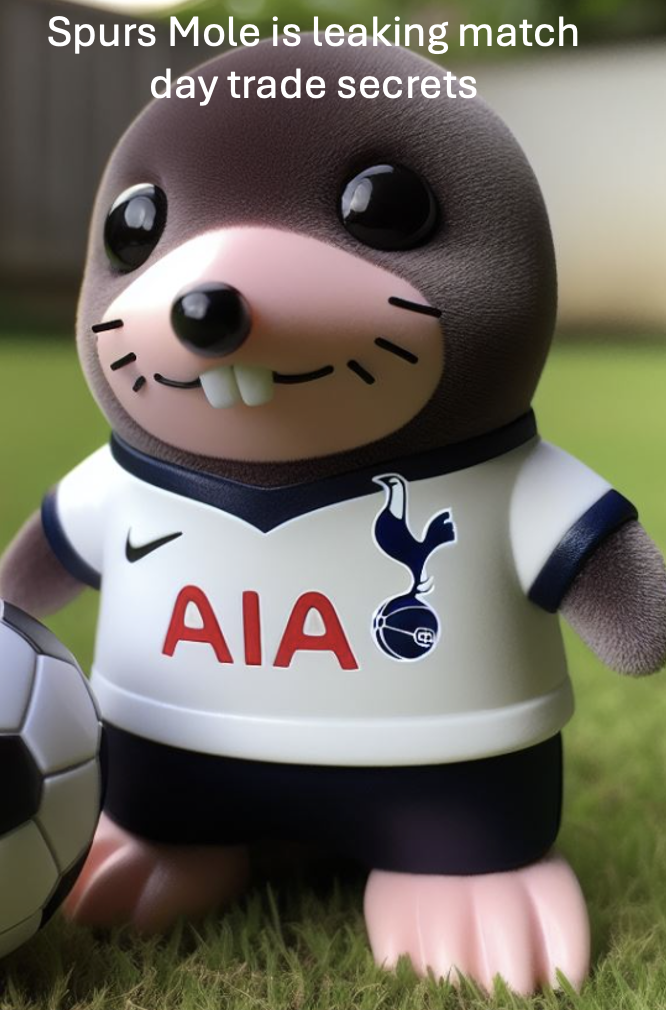Trade secret leaks are damaging to the football club's competitive edge says Tottenham Hotspur Manager Ange Postecoglou.
Postecoglou is getting ready to dig his spurs in.